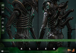 *PREORDER DEPOSIT* Alien - 1/6th scale Big Chap Collectible Figure