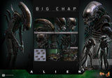 *PREORDER DEPOSIT* Alien - 1/6th scale Big Chap Collectible Figure