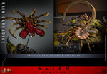 *PREORDER DEPOSIT* Alien: Romulus - 1/6th scale Rain Carradine Collectible Figure