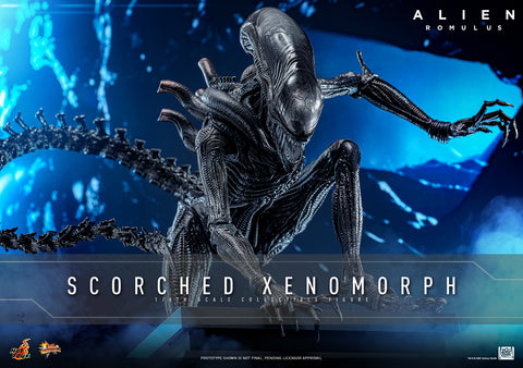 *PREORDER DEPOSIT* Alien: Romulus - 1/6th scale Scorched Xenomorph Collectible Figure