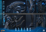 *PREORDER DEPOSIT* Aliens - 1/6th scale Alien Warrior Collectible Figure (Deluxe Version)