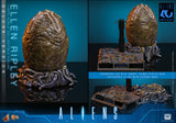 *PREORDER DEPOSIT* Aliens - 1/6th scale Ellen Ripley Collectible Figure (Deluxe Version)