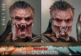 *PREORDER DEPOSIT* Predator: Badlands - 1/6th scale Dek and Thia Collectible Set