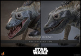 *PREORDER DEPOSIT* Star Wars: The Clone Wars - 1/6th scale Sergeant Hound Collectible Figure