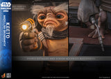 *PREORDER DEPOSIT* Star Wars: The Mandalorian & Grogu™ Keeto (Anzellan Droidsmith™) Life-Size Collectible Figure