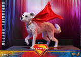 *PREORDER DEPOSIT* Supergirl™ - 1/6th scale Supergirl™ & Krypto™ Collectible Set